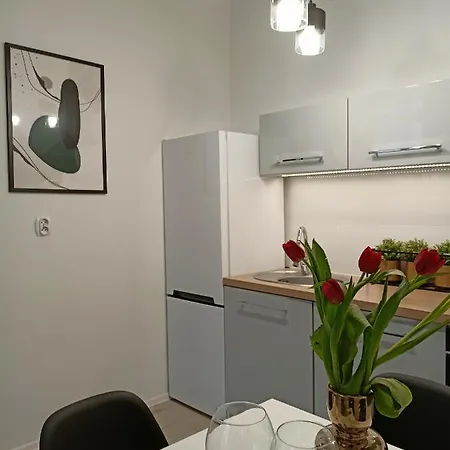 Apartment Blisko Dwoch Jezior Na Warmii I Mazurach Biskupiec (Olsztyn)