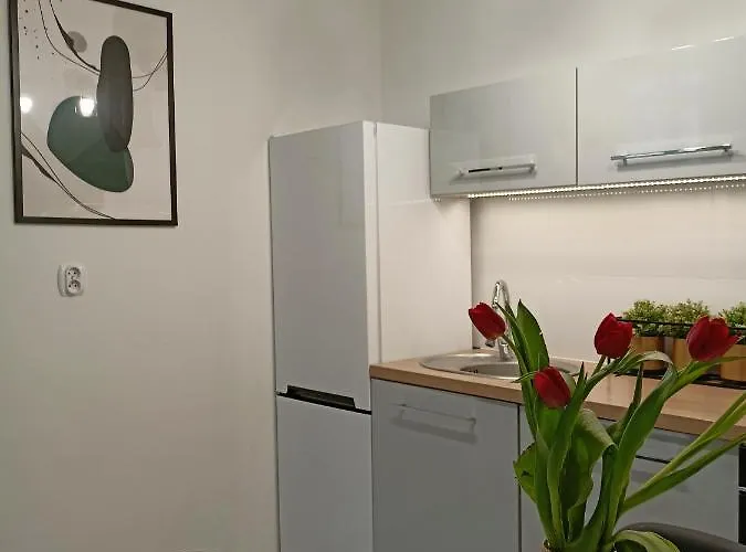 Apartament Blisko Dwóch Jezior Na Warmii I Mazurach Biskupiec (Olsztyn)
